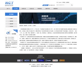 諾測檢測 專業網站建設與網絡技術服務，打造企業數字化門戶